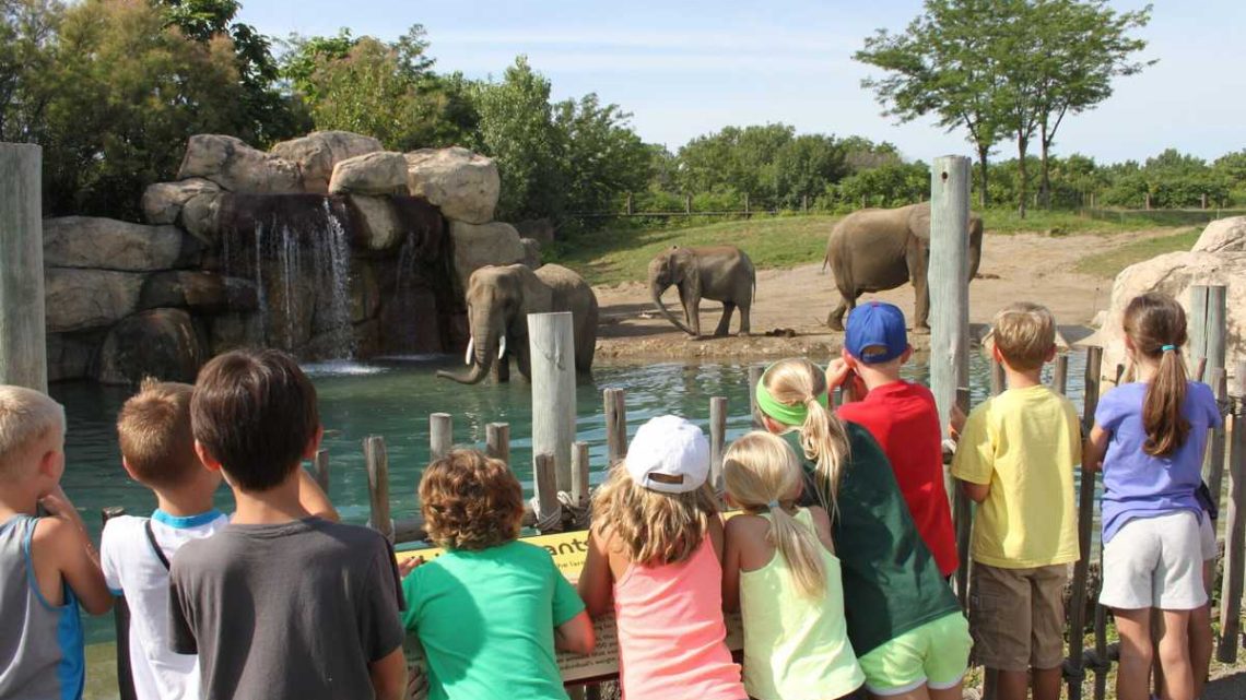 Trois parcs animaliers de France qu’il faut visiter avec vos enfants