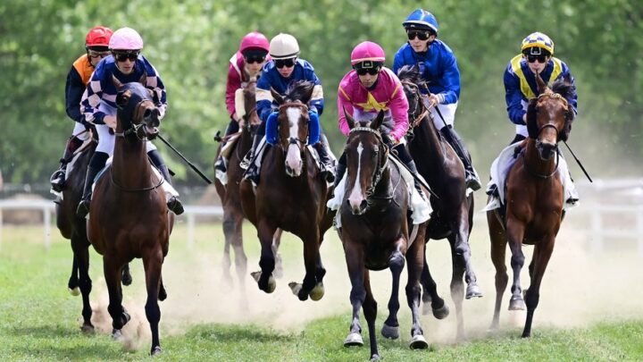 Quel type de course hippique choisir ?